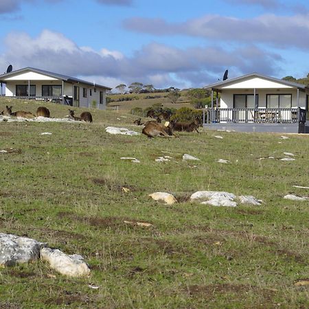 Waves & Wildlife Cottages Kangaroo Island Stokes Bay Bagian luar foto