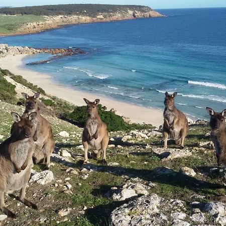 Waves & Wildlife Cottages Kangaroo Island Stokes Bay Bagian luar foto