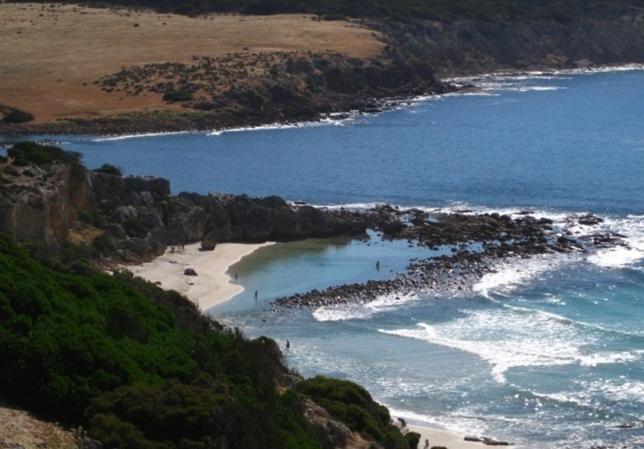 Waves & Wildlife Cottages Kangaroo Island Stokes Bay Bagian luar foto