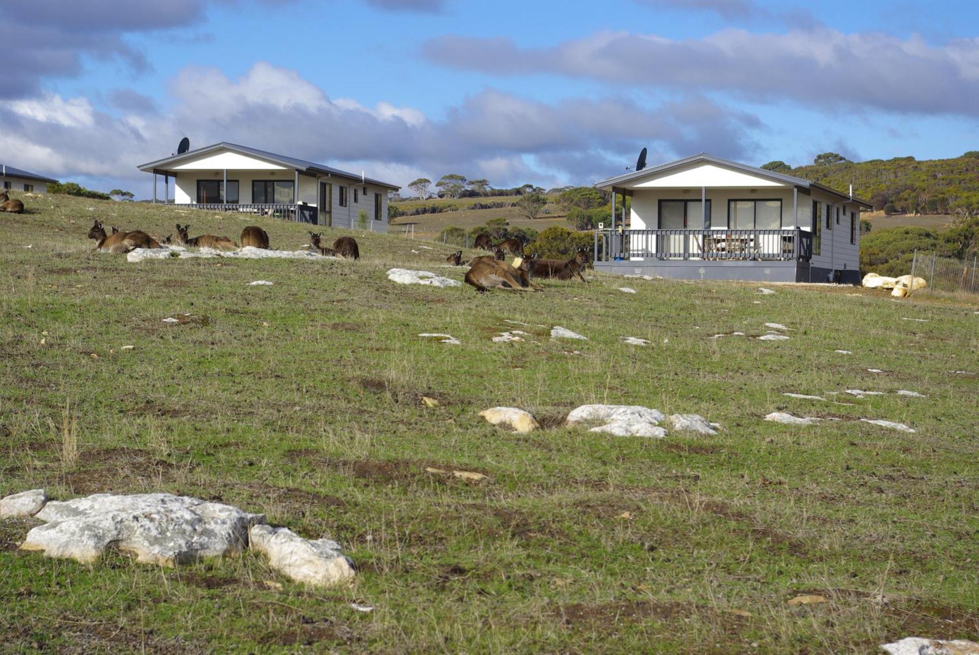 Waves & Wildlife Cottages Kangaroo Island Stokes Bay Bagian luar foto