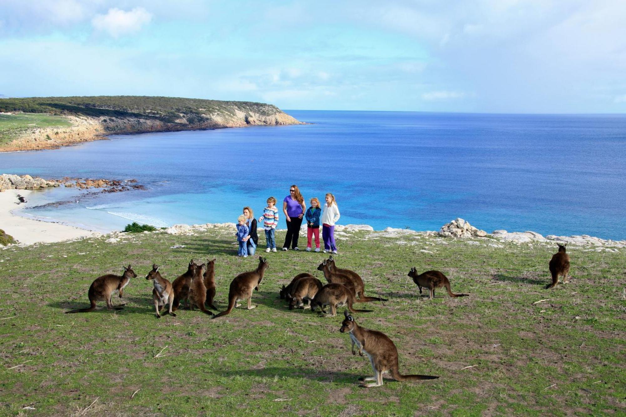 Waves & Wildlife Cottages Kangaroo Island Stokes Bay Bagian luar foto