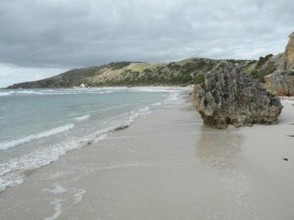 Waves & Wildlife Cottages Kangaroo Island Stokes Bay Bagian luar foto