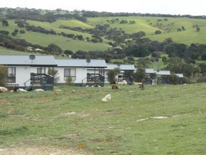 Waves & Wildlife Cottages Kangaroo Island Stokes Bay Bagian luar foto