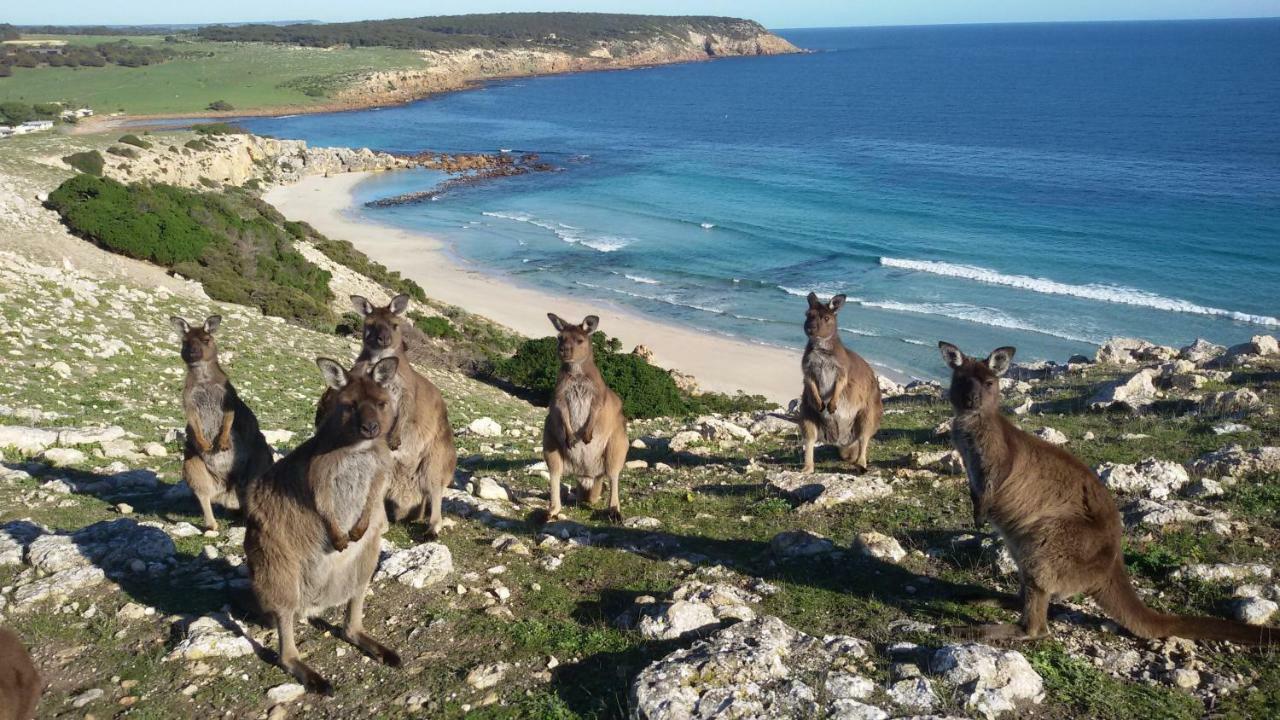 Waves & Wildlife Cottages Kangaroo Island Stokes Bay Bagian luar foto